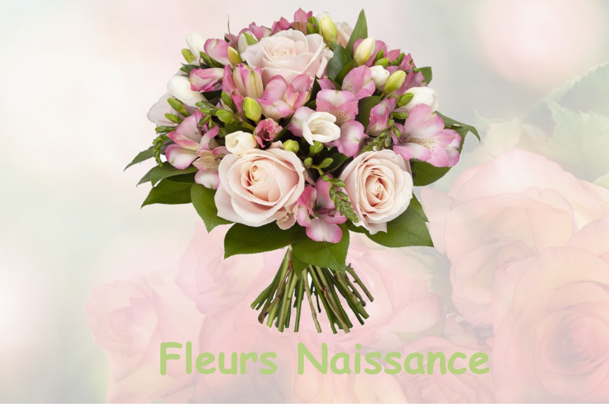 fleurs naissance CERRE-LES-NOROY