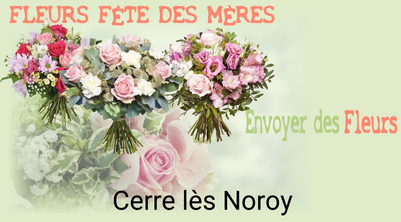 Bouquet de Fête des Mères livré à Cerre-lès-Noroy